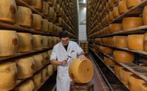 El calor extremo amenaza la producción del Parmigiano Reggiano