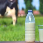 El consumo interno y las exportaciones absorbieron el crecimiento de la producción de leche en Argentina El consumo interno y las exportaciones absorbieron el crecimiento de la producción de leche en Argentina