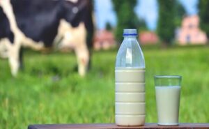 El consumo interno y las exportaciones absorbieron el crecimiento de la producción de leche en Argentina