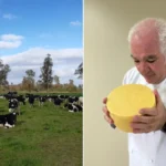 El queso artesanal impulsa el desarrollo rural y fortalece la identidad de los territorios