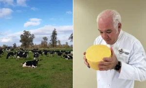 El queso artesanal impulsa el desarrollo rural y fortalece la identidad de los territorios
