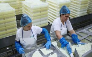 El queso gana protagonismo y redefine el nuevo mapa del comercio mundial de lácteos