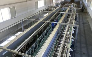 España reduce la producción de leche de oveja mientras los precios alcanzan máximos de 2026