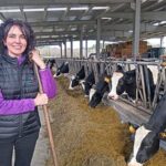 Ganaderos gallegos reclaman una suba del precio de la leche ante el aumento de los costos