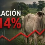 Ganaderos reciben menos por la leche y la carne mientras aumentan los precios al consumidor Ganaderos reciben menos por la leche y la carne mientras aumentan los precios al consumidor