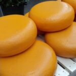 Importaciones de lácteos en Chile crecieron 16% hasta mayo, impulsadas por el queso gouda