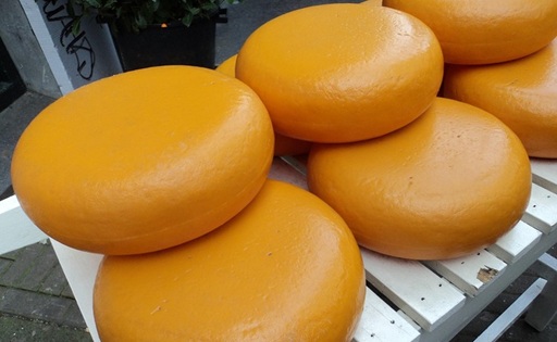 Importaciones de lácteos en Chile crecieron 16% hasta mayo, impulsadas por el queso gouda