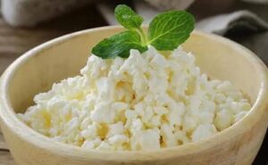 Innovación gallega el alga que se cultiva y el queso que usan en Italia para hacer burrata