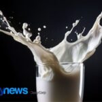La demanda brasileña ha comenzado a marcar el ritmo de la producción de leche en Mercosur La demanda brasileña ha comenzado a marcar el ritmo de la producción de leche en Mercosur