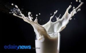La demanda brasileña ha comenzado a marcar el ritmo de la producción de leche en Mercosur