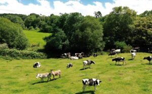 La granja ecológica que transformó la leche en una marca de yogures líder en España
