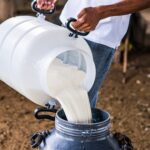La industria láctea de Colombia activa un plan para enfrentar el fenómeno de El Niño