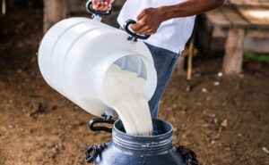 La industria láctea de Colombia activa un plan para enfrentar el fenómeno de El Niño