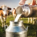 Colácteos ofrece comprar leche a 240 productores afectados por el cierre de plantas clandestinas productores de leche