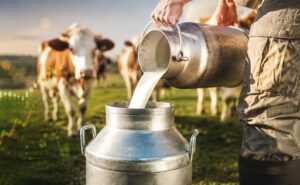 productores de leche