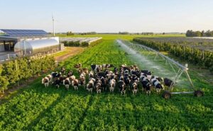 Lecheros de Entre Ríos ven en el RIMI una oportunidad para modernizar la producción