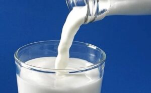 Los Ríos alcanza una participación récord del 39,3% en la producción de leche de Chile