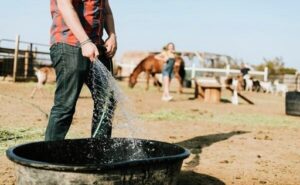 Ola de calor golpea a la producción lechera en España caídas de hasta 25%