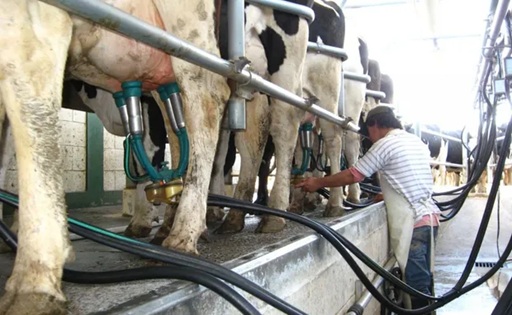 Producción de leche en Argentina crecería cerca de 7% en los próximos meses, según CREA