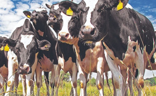 Productores impulsan cambios en el SIGLeA y avanzan en una agenda común para la lechería argentina