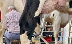 Proleche pide al Gobierno proteger a los ganaderos tras la aprobación del uso de leche en polvo