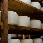 Quesos artesanales: "La oportunidad está en seguir construyendo cultura del queso" Quesos artesanales: "La oportunidad está en seguir construyendo cultura del queso"