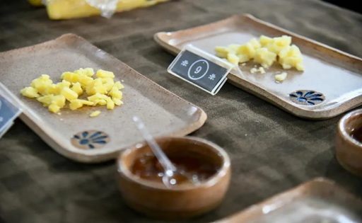 Uruguay gana una medalla de oro en ExpoQueijo Brasil 2026