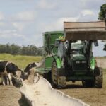 Uruguay la remisión de leche creció 10,2% en mayo y marcó un récord histórico