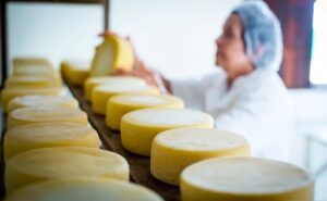 Brasil revisa las reglas para los quesos de leche cruda y el debate llega a Uruguay