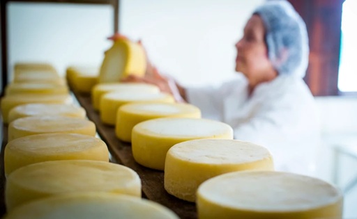 Brasil revisa las reglas para los quesos de leche cruda y el debate llega a Uruguay