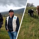 Ceniza volcánica golpea la lechería de Puracé: reportan una caída del 80% Ceniza volcánica golpea la lechería de Puracé reportan una caída del 80%