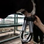 Colombia: las importaciones de leche en polvo crecen 56% y encienden la alerta de Fedegán Colombia las importaciones de leche en polvo crecen 56% y encienden la alerta de Fedegán