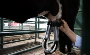 Colombia las importaciones de leche en polvo crecen 56% y encienden la alerta de Fedegán