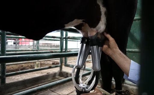 Colombia las importaciones de leche en polvo crecen 56% y encienden la alerta de Fedegán