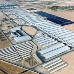 Construyen en Argelia una megagranja lechera con 270 mil vacas en el Sahara