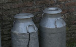 De una cuenca lechera a un solo productor la historia de Sauce Montrull