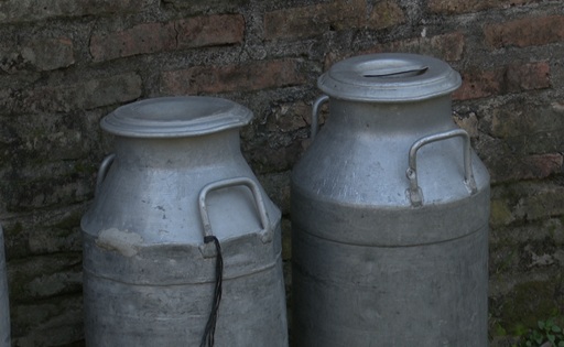De una cuenca lechera a un solo productor la historia de Sauce Montrull