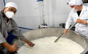 Ecuador exhibirá un Gouda de 120 kilos en la Feria Nacional del Queso