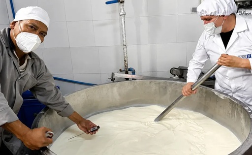 Ecuador exhibirá un Gouda de 120 kilos en la Feria Nacional del Queso