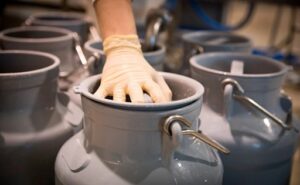 El Supremo confirma el cártel de la leche y refuerza las reclamaciones de los ganaderos