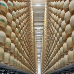 El calor amenaza al “banco del queso” más costos para conservar el parmesano y menos leche