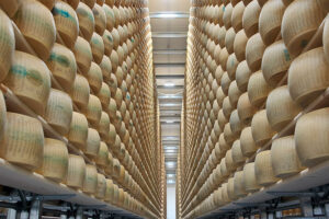 El calor amenaza al “banco del queso” más costos para conservar el parmesano y menos leche