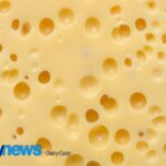 El mercado mundial del queso apunta a US$ 329.000 millones El mercado mundial del queso apunta a US$ 329.000 millones