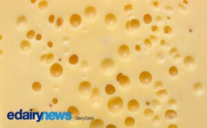 El mercado mundial del queso apunta a US$ 329.000 millones