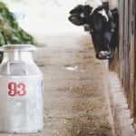 El precio de la leche cae un 14% en España y los costos vuelven a poner contra las cuerdas a las granjas