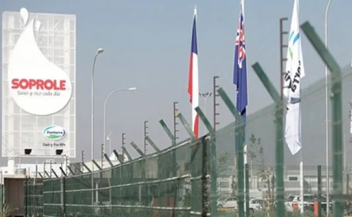 Grupo Gloria concreta la fusión de Soprole y redefine su estructura en Chile