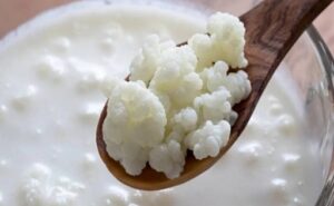 Kéfir vs. yogurt qué diferencia al lácteo fermentado que gana popularidad