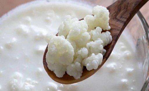 Kéfir vs. yogurt qué diferencia al lácteo fermentado que gana popularidad