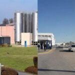 Lactalis compra el negocio lácteo de Saputo en Reino Unido
