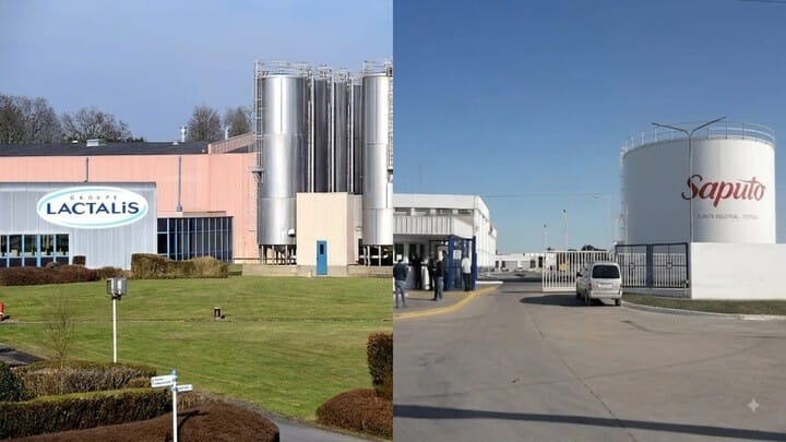 Lactalis compra el negocio lácteo de Saputo en Reino Unido